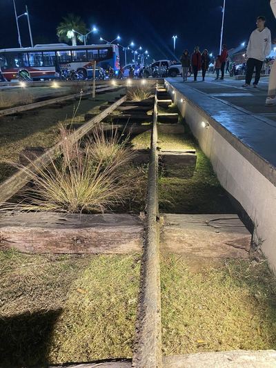 Avenida iluminada