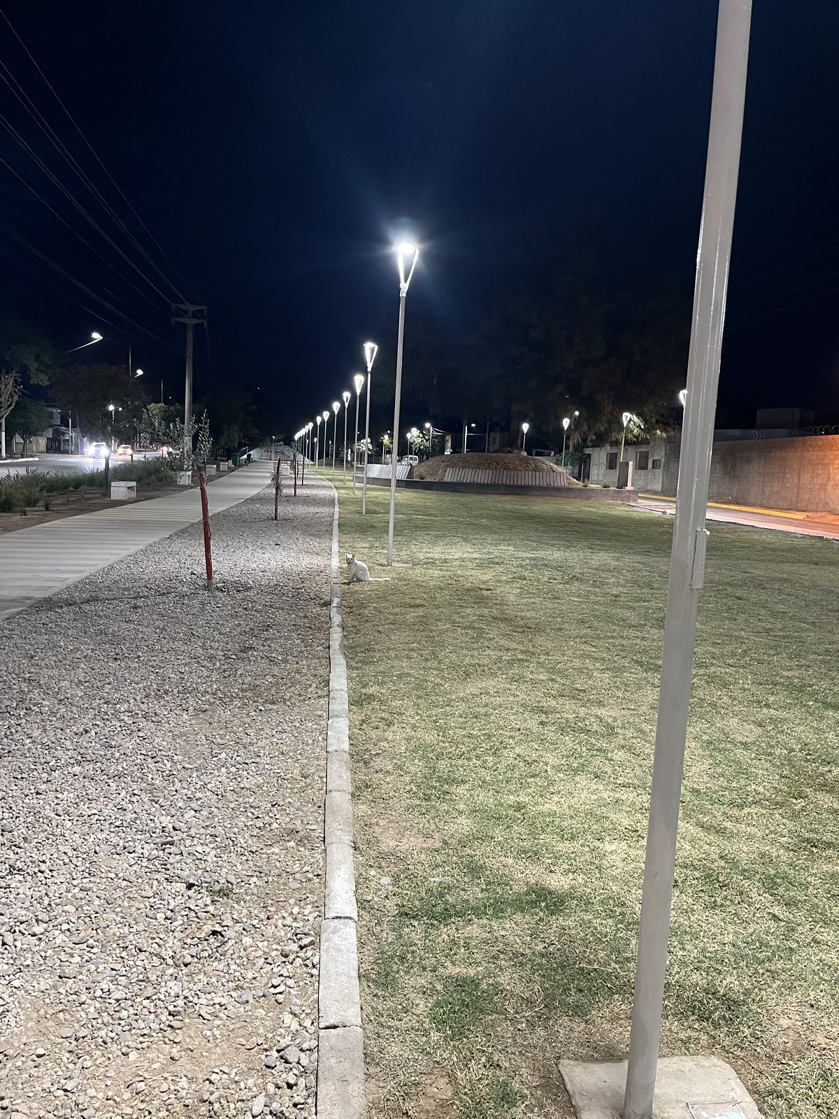 Camino con farolas dobles