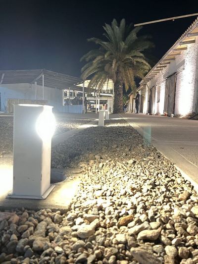 Palmeras iluminadas